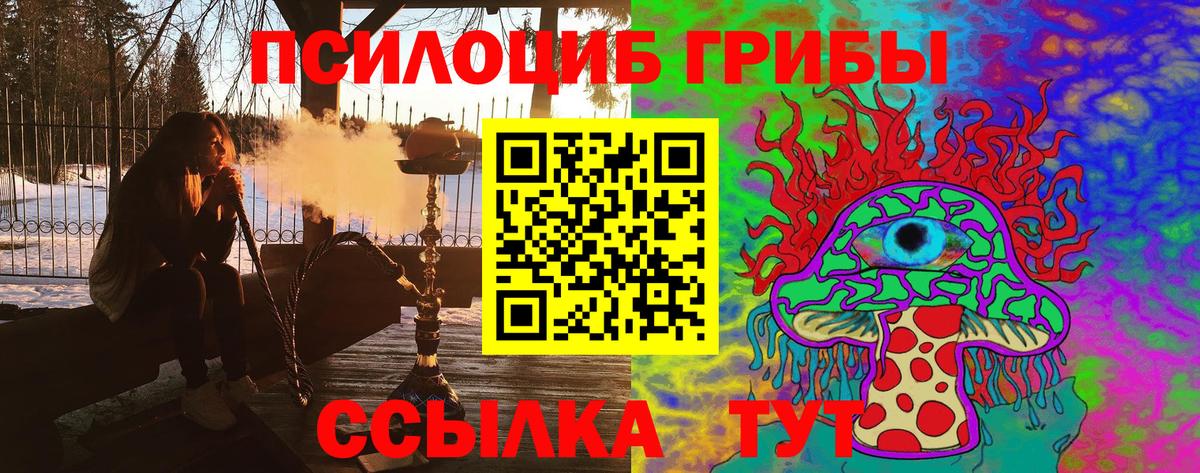 Псилоцибиновые грибы Cubensis Кизляр