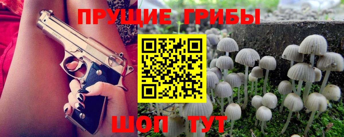 Кизляр  Галлюциногенные грибы GOLDEN TEACHER  Вход с VPN 
